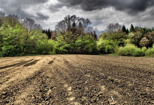 土壤缺啥补啥，土壤养分仪在行动