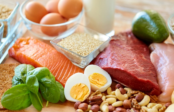 食品中蛋白质含量的测定仪器—蛋白质分析仪的常见故障