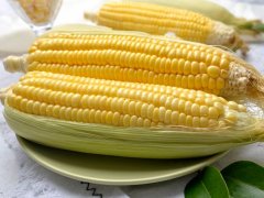 水果玉米产地农残检测用蔬菜农药检测仪器