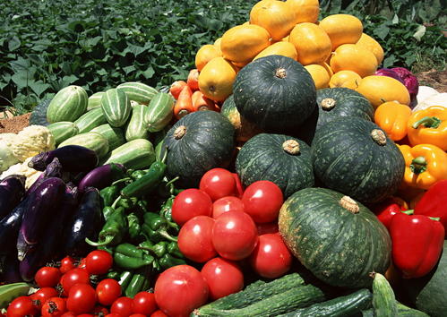 蔬菜农残检测设备