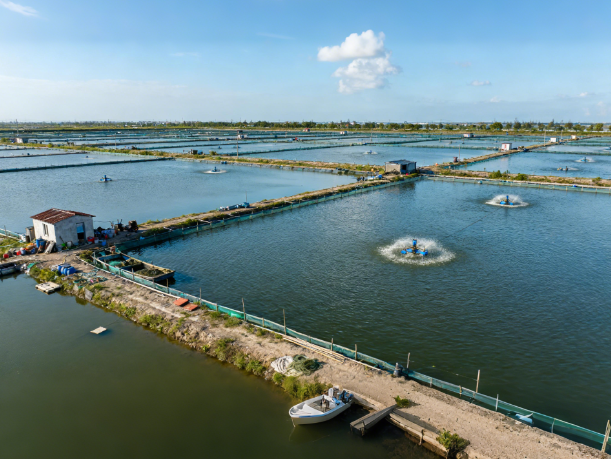 水产品抗生素检测的国家标准有哪些?水产抗生素检测行业的市场规模有多大?