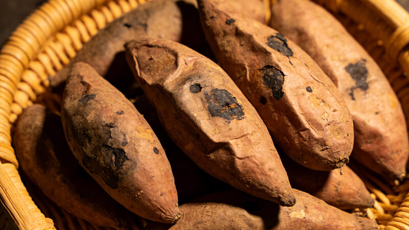 农药残留检测仪准确锁定“毒红薯”元凶，克百威、甲拌磷检测能力再升级