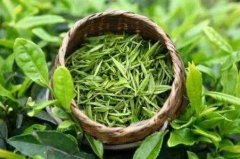 茶叶农药检测仪在中药材生产基地的应用 茶叶农药检测仪在中药材生产基地的应用