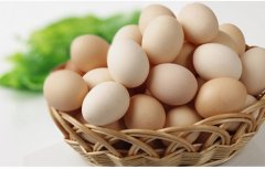 食品安全综合检测仪器检测广东土鸡蛋安全