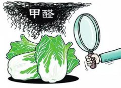 食品甲醛检测仪在食品安全检测中的应用 食品甲醛检测仪在食品安全检测中的应用