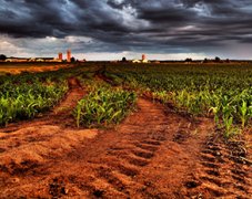 土壤农残量用农药残留检测设备检测