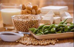 豆类食品农残检测使用蔬菜农药检测仪器 豆类食品农残检测使用蔬菜农药检测仪器