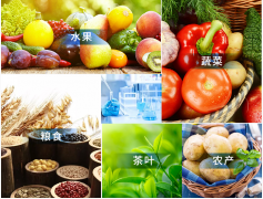 触摸屏农药残留检测仪哪个品牌好 触摸屏农药残留检测仪哪个品牌好