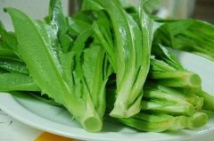 蔬菜农药检测仪哪里买 蔬菜农药检测仪哪里买