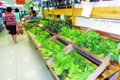 多功能食品安全检测仪农药残留酶抑制法 多功能食品安全检测仪农药残留酶抑制法