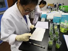 果蔬农残检测仪哪家好 果蔬农残检测仪哪家好