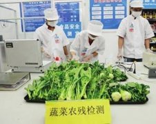 蔬菜水果农药检测仪检测依据是什么 蔬菜水果农药检测仪检测依据是什么