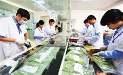 农残快速检测仪品牌哪个好 农残快速检测仪品牌哪个好