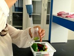 农药残留快速检测仪使用说明 农药残留快速检测仪使用说明