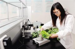 便携式蔬菜农药检测仪使用方法 便携式蔬菜农药检测仪使用方法
