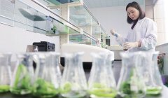 蔬菜检测仪器怎么用 蔬菜检测仪器怎么用