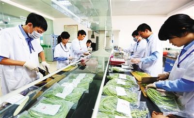 农残检测仪