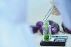 高通量农药残留测定仪哪个牌子好 高通量农药残留测定仪哪个牌子好