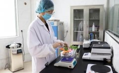 蔬菜农残检测设备在农残检测工作中的使用 蔬菜农残检测设备在农残检测工作中的使用